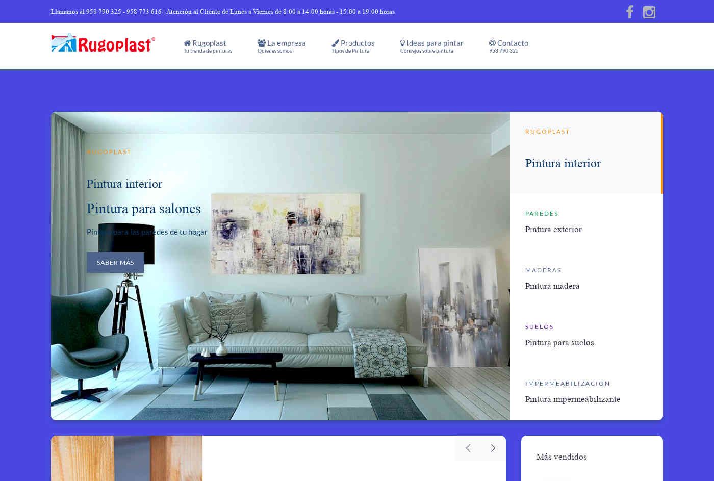 Diseño Web Empresa Fabricante de pintura