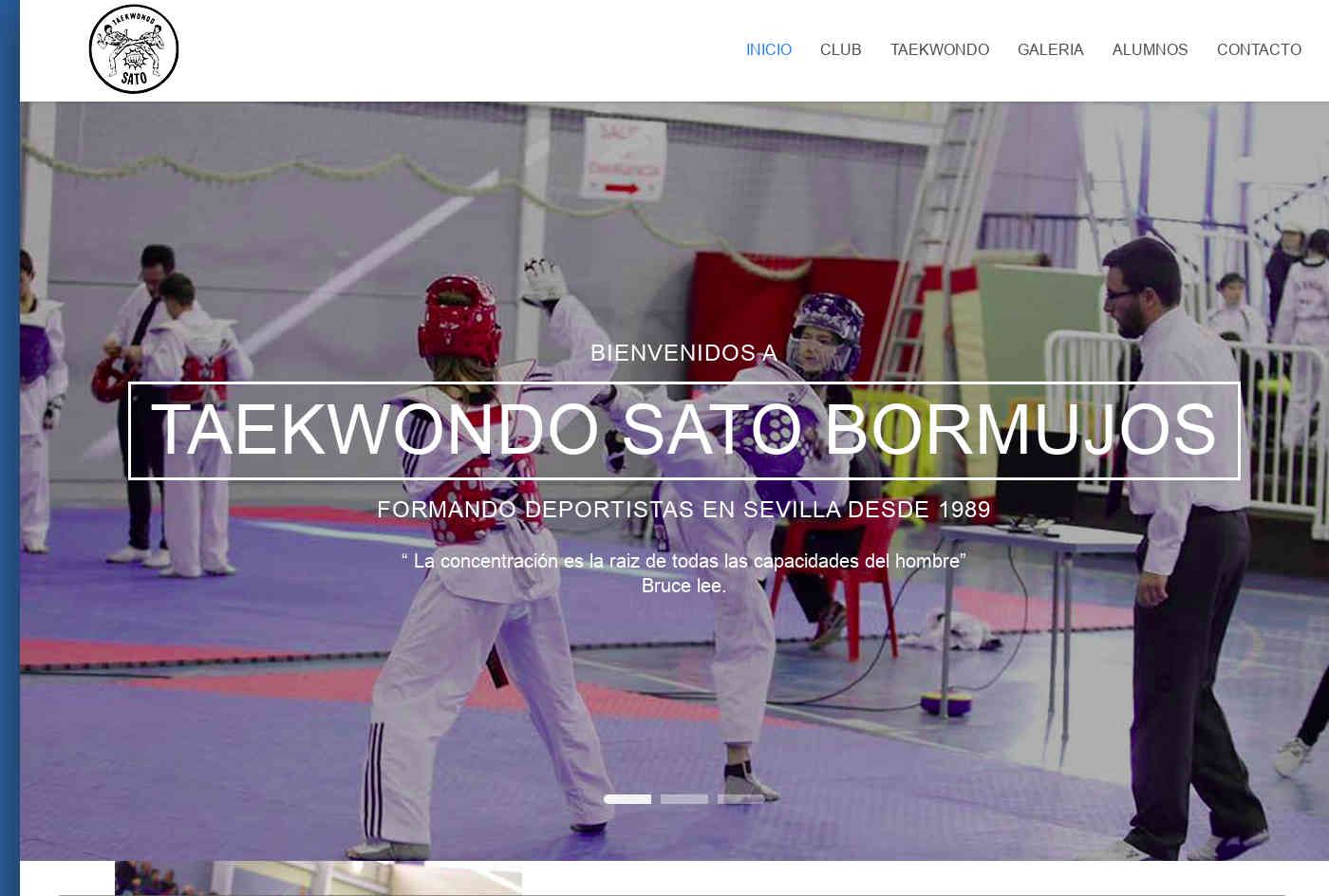 Posicionamiento Web Escuela de Taekwondo